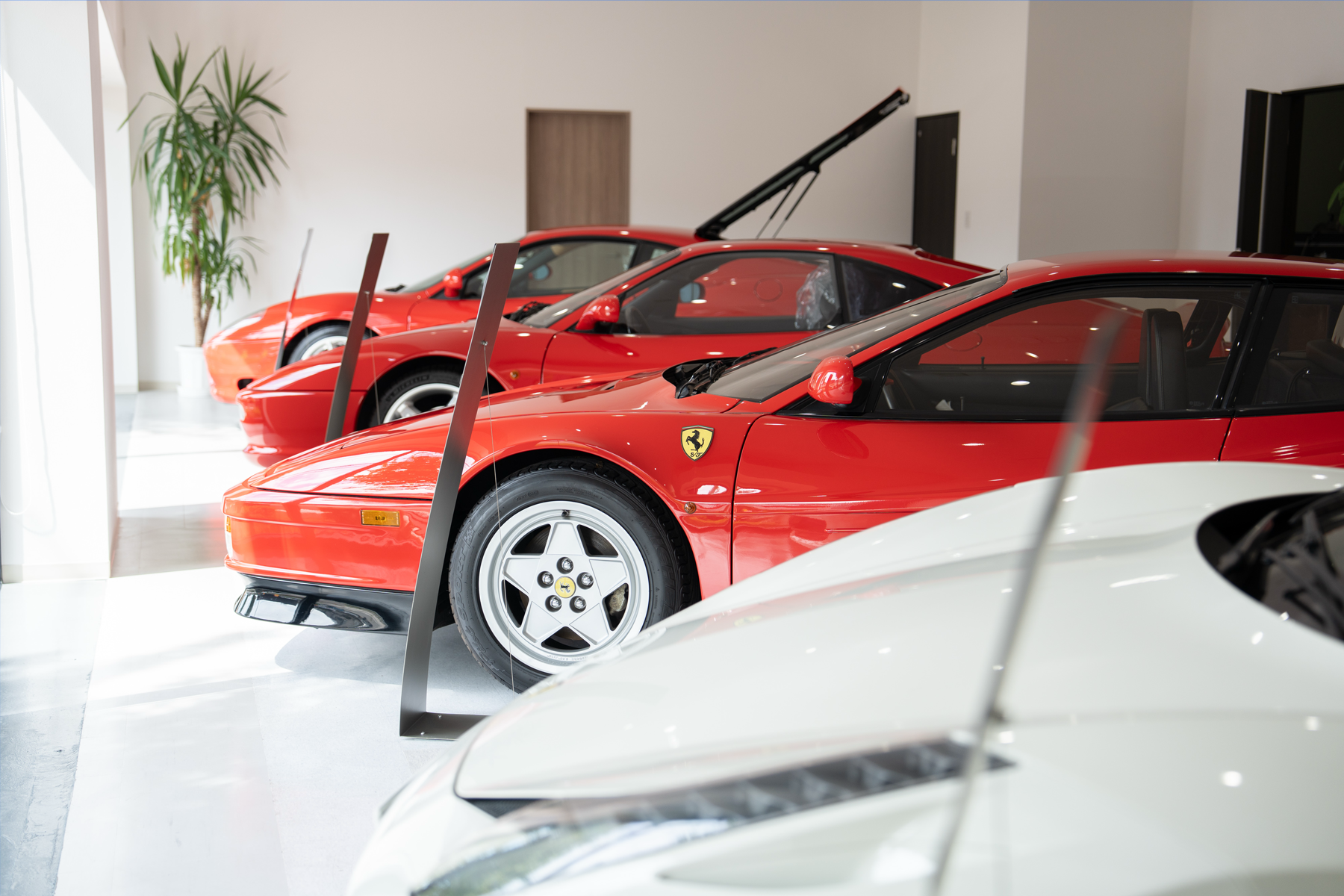 フェラーリ・ランボルギーニ・アストンマーティン パーツ車販整備修理 高級外車総合企業T-WEST